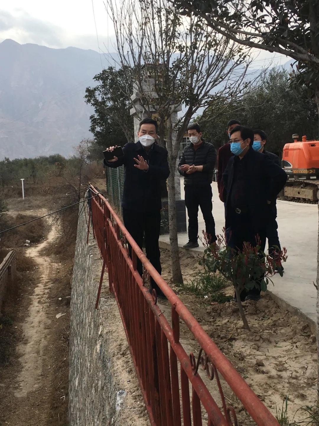【陇源丹谷】武都区区委副书记张书怀到油橄榄基地调研